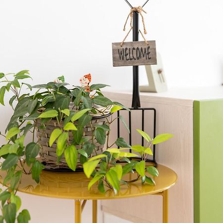 Springhome - Cozy Apartment With Balcony & Parking 브라쇼브 외부 사진