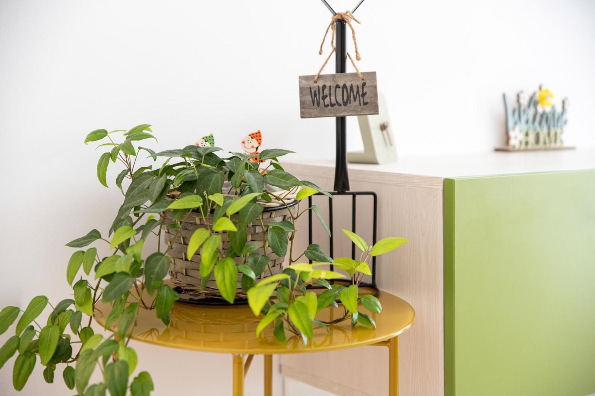 Springhome - Cozy Apartment With Balcony & Parking 브라쇼브 외부 사진