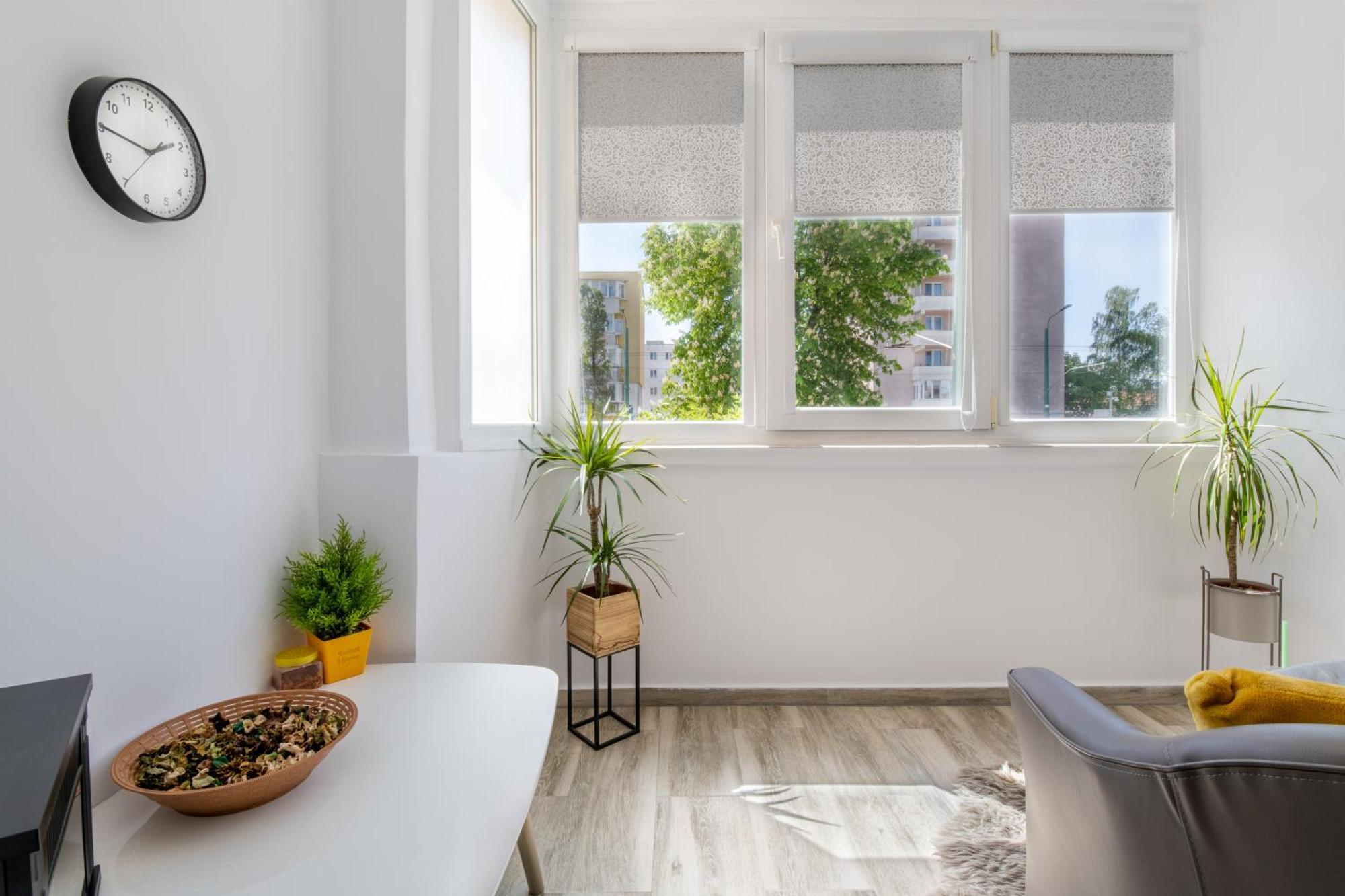 Springhome - Cozy Apartment With Balcony & Parking 브라쇼브 외부 사진